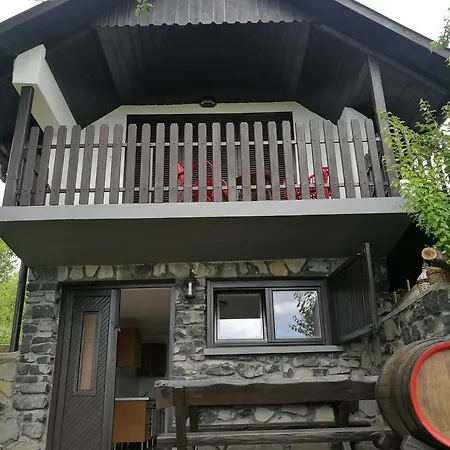 Orgona Nyaralo Holiday home *